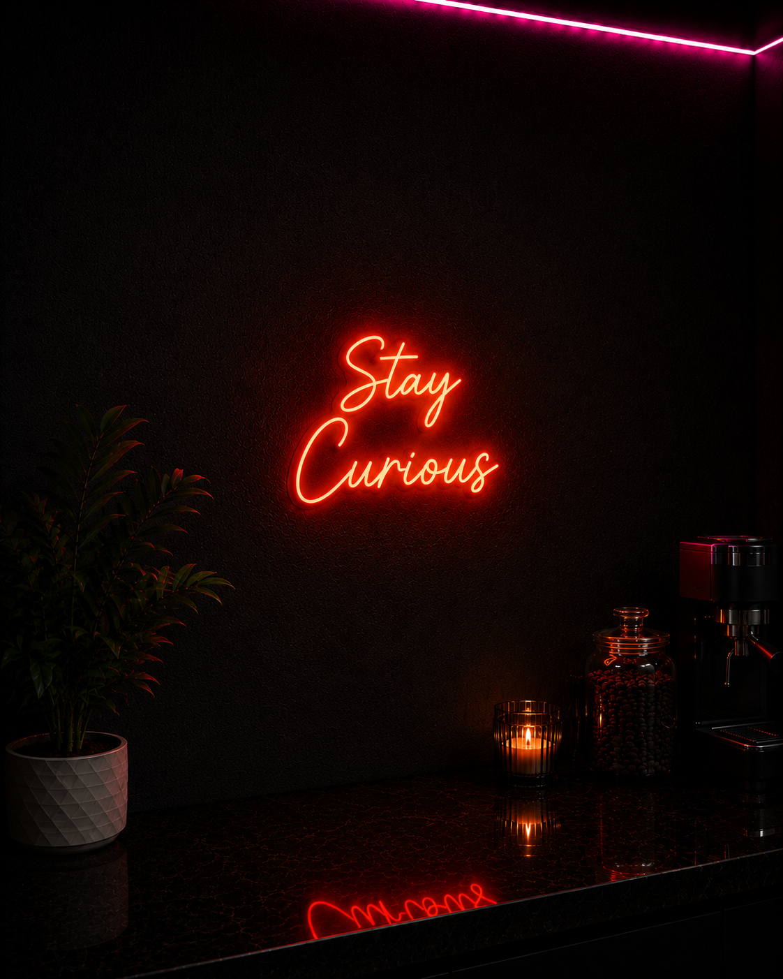 Stay Curious